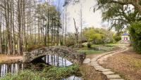 Jungle Gardens, Avery Island, LA