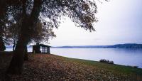 Lake Washington Boulevard, Seattle, WA