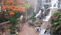 Waterfall Garden, Seattle, WA 