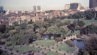 Boston Public Garden