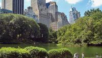 Central Park, New York, NY