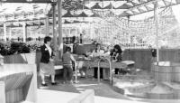 42255.1_6-1984_Opening of Playground for All Children.jpg