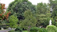 Oak Hill Cemetery, Washington, DC