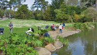 Strybing Arboretum (San Francisco Botanical Garden) at Golden Gate Park, San Francisco, CA