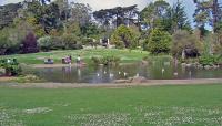 Strybing Arboretum (San Francisco Botanical Garden) at Golden Gate Park, San Francisco, CA