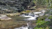 Fallingwater, Mill Run, PA