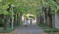 Portland Open Space Sequence, Portland, OR