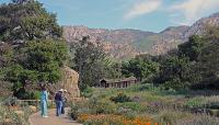 Santa Barbara Botanic Garden, CA