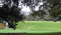 City Park Golf Course, Baton Rouge, LA