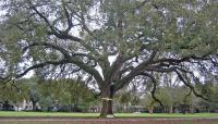 City Park Golf Course, Baton Rouge, LA