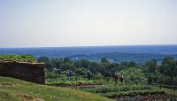 Monticello, Charlottesville, VA