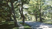 Swan Point Cemetery, Providence, RI