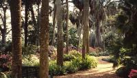 Bok Tower Gardens, Lake Wales, FL
