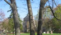 Photo by Charles Birnbaum::2008::The Cultural Landscape Foundation