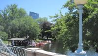 Boston Public Garden