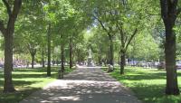 Commonwealth Avenue Mall