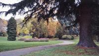 Seattle Parks and Boulevard System_04