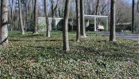 Hollin Hills, Alexandria, VA 