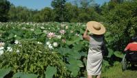 Photo courtesy National Park Service::2010::The Cultural Landscape Foundation