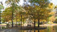 Southwest Duck Pond, Washington, DC 