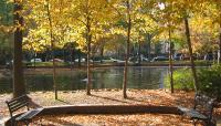 Southwest Duck Pond, Washington, DC 