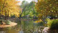 Southwest Duck Pond, Washington, DC