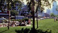 Victor Steinbrueck Park, Seattle, WA