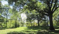 Jamaica Pond