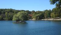 Jamaica Pond