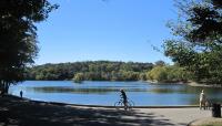 Jamaica Pond