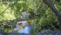 Back Bay Fens