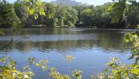 Olmsted Park, Boston, MA