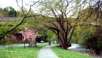 Branch Brook Park, Newark, NJ