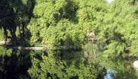 Roeding Park, Fresno, CA