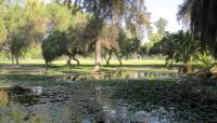 Roeding Park, Fresno, CA