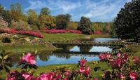 Bellingrath Gardens, Theodore, AL