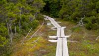 Appalachian Trail