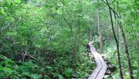 Appalachian Trail