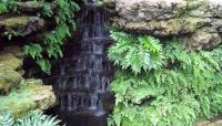 Garfield Park Conservatory, Chicago, IL 