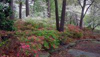 Photo by Maureen Turner, courtesy Tulsa Parks Department:: ::The Cultural Landscape Foundation