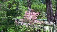 Photo courtesy of McLaughlin House and Garden::2010::The Cultural Landscape Foundation