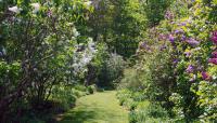 Photo courtesy of McLaughlin House and Garden::2010::The Cultural Landscape Foundation