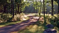 Camden Hills State Park - Lower Sagamore Village, Camden, ME