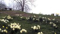 Photo by Elizabeth W. Hume courtesy of Smithsonian Institution, Archives of American Gardens, Garden Club of America Collection::2000::The Cultural Landscape Foundation