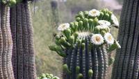 Photo by Kurt Culbertson:: ::The Cultural Landscape Foundation