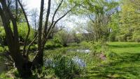 Photo courtesy Friends of Buttonwood Park:: ::The Cultural Landscape Foundation