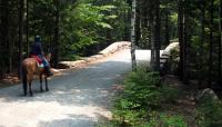 Acadia National Park Carriage Roads, Mt. Desert, ME