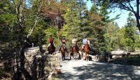 Acadia National Park Carriage Roads, Mt. Desert, ME