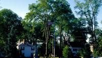 Photo by Theresa Mattor:: ::The Cultural Landscape Foundation