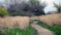 Jackson Park, Chicago, IL